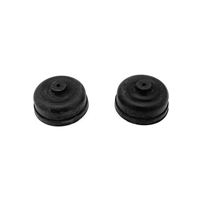 2 OUTLET DIAPHRAGM KIT FOR AP-4 / AP-8 PUMP (1)