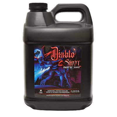 DIABLO 2 SHOT B 10L