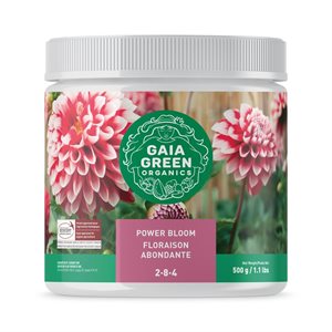 GAIA GREEN POWER BLOOM 2-8-4 500G (1)