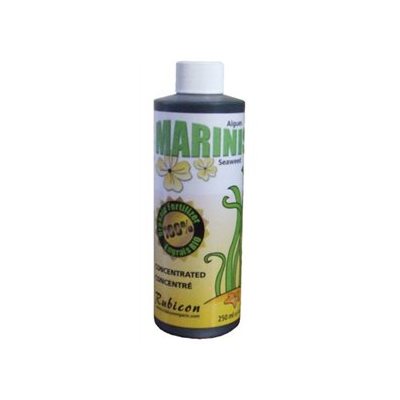 RUBICON ORGANIC MARINIS 250ML (1)