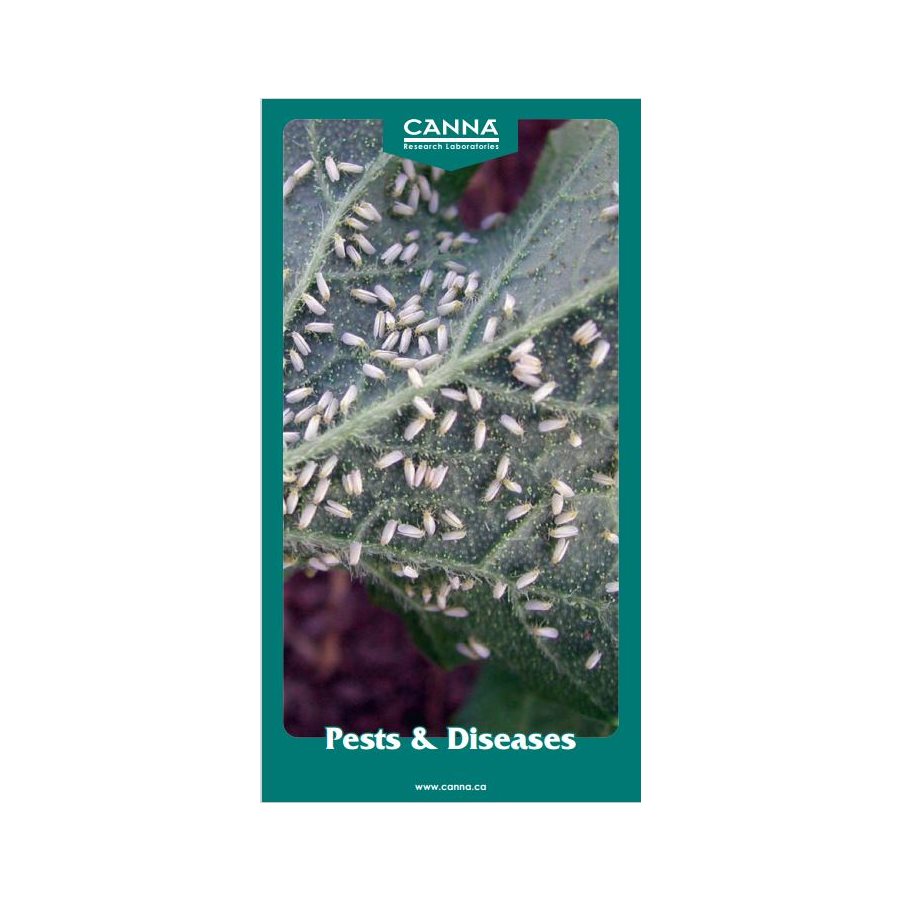 CANNA INFO PAPER PESTS & DISEASES (25)